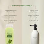 Naturali Dandruff Defence Shampoo with Tea Tree Oil & Cactus Extracts | Grocsy