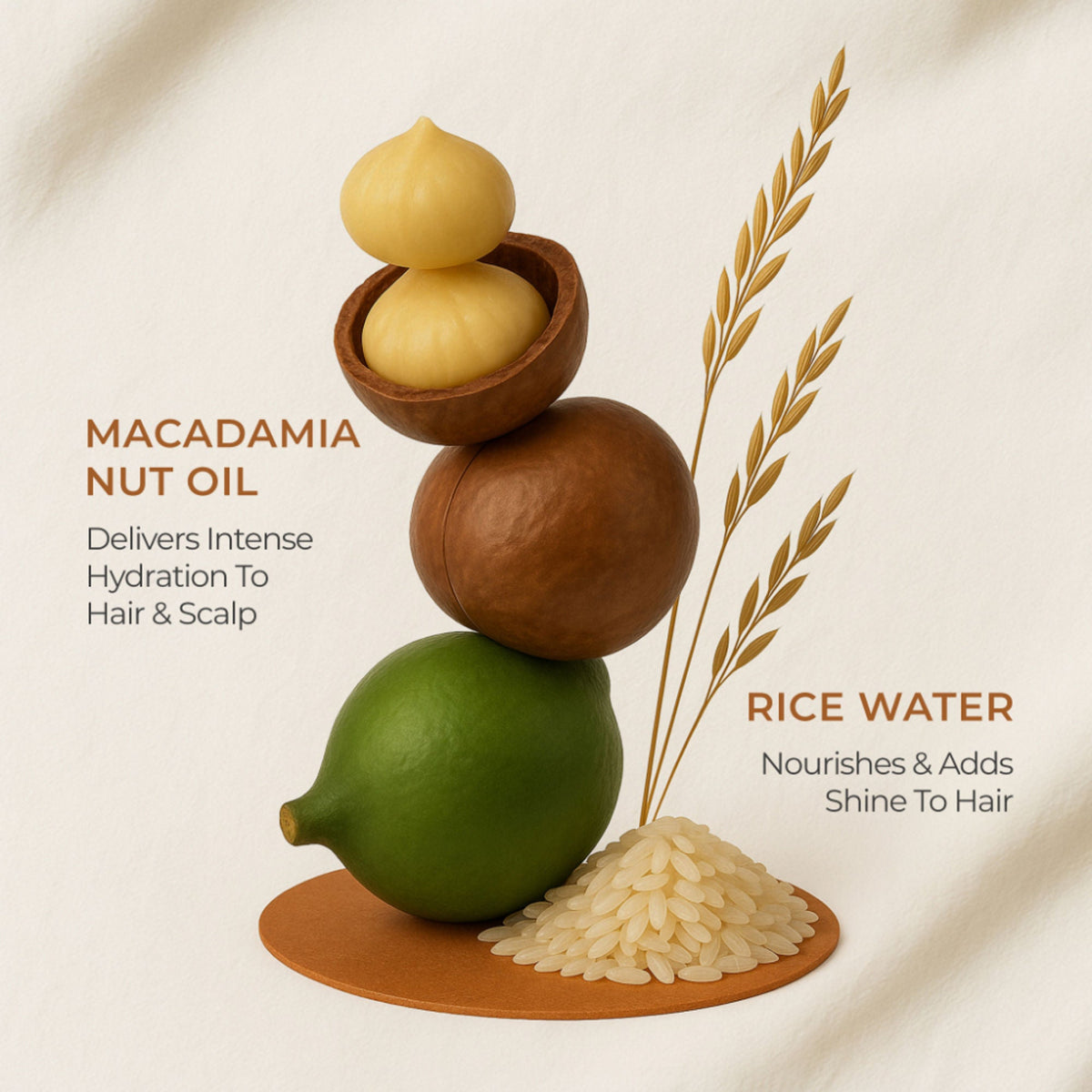 Naturali Daily Strength & Nourish Shampoo with Rice Water & Macadamia Nut Oil | Grocsy