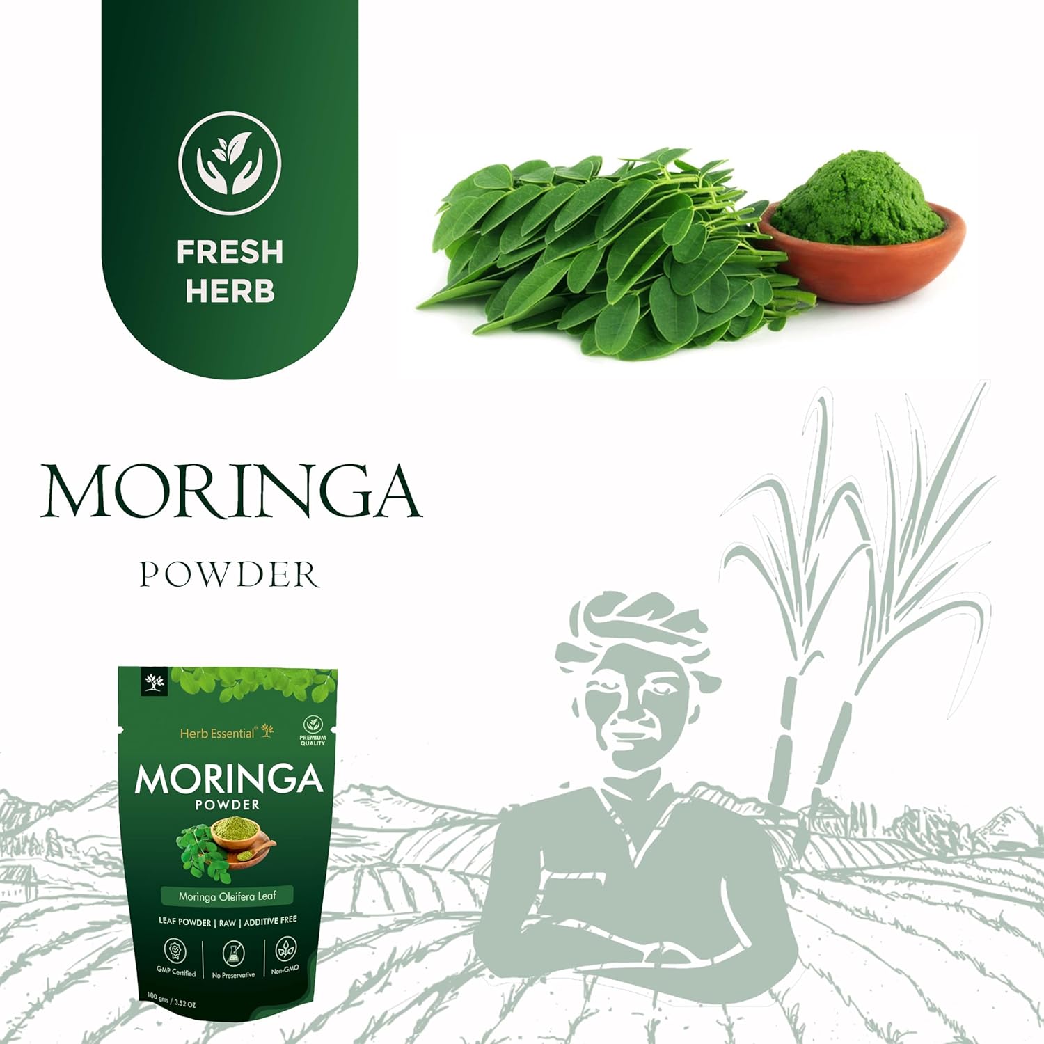 Herb Essential Moringa Powder | Grocsy
