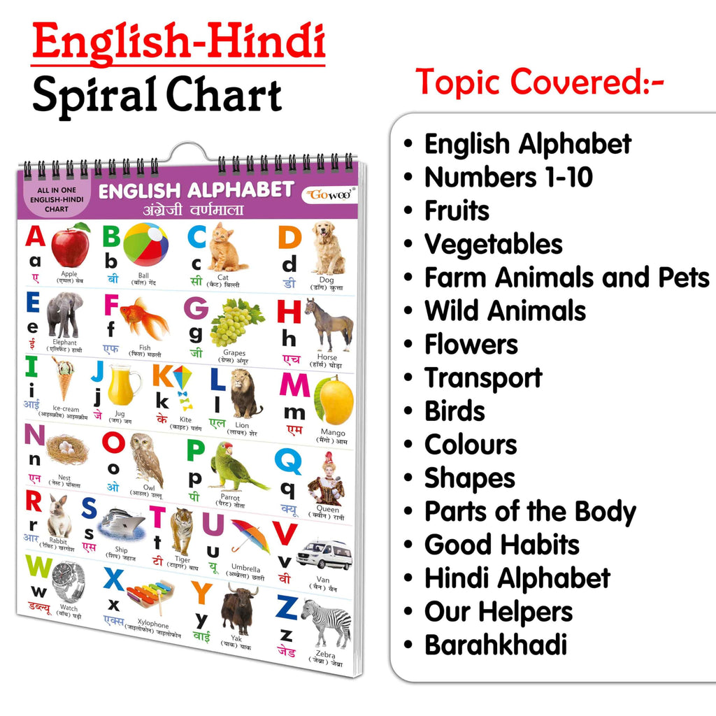 English-Hindi Chart For Kids (16 Charts ) 36 X 50 Cm - Children Spiral Wall Picture Chart | Grocsy