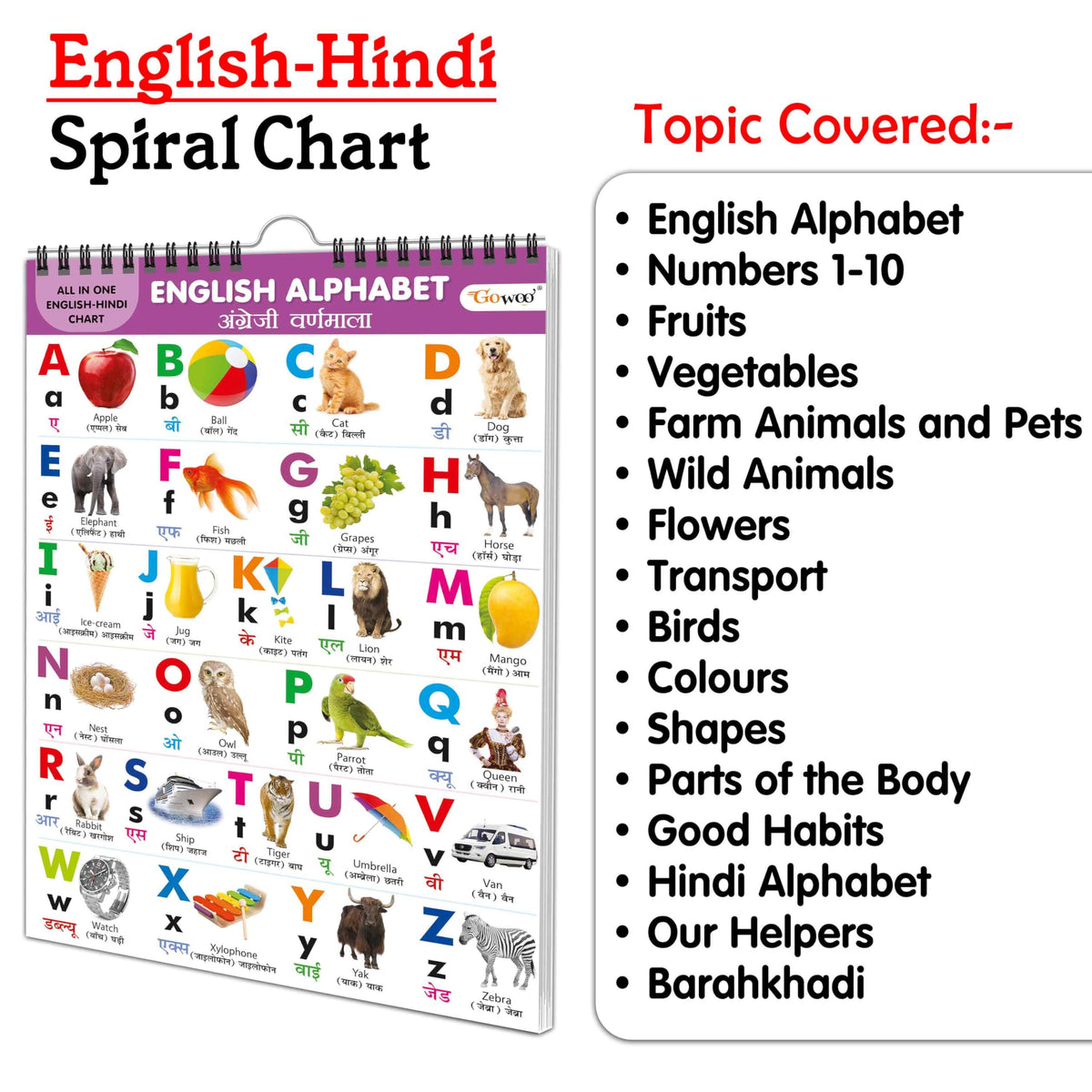 English-Hindi Chart For Kids (16 Charts ) 36 X 50 Cm - Children Spiral Wall Picture Chart | Grocsy