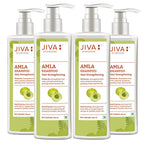 Jiva Ayurveda Amla Shampoo | Grocsy