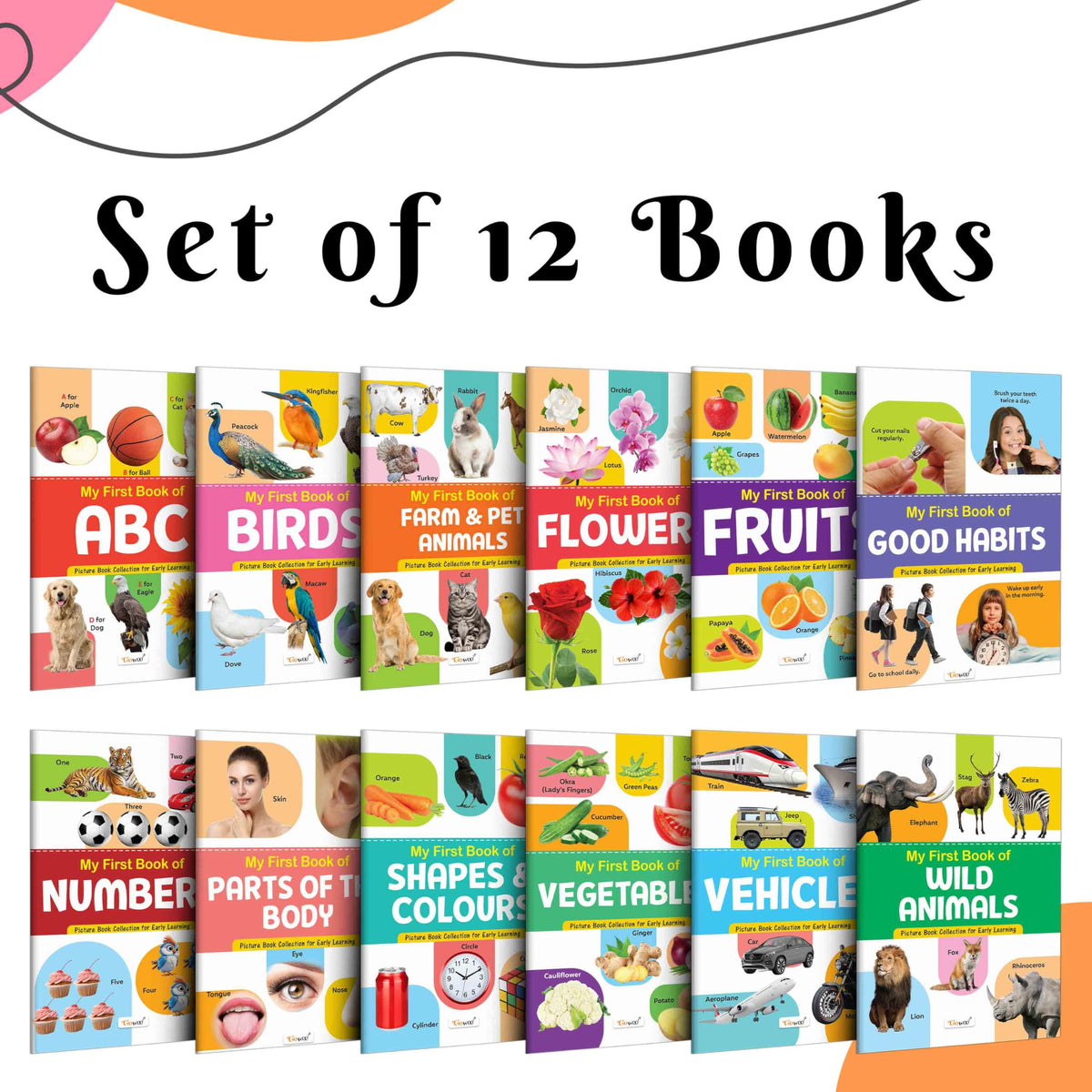 My First Picture Book Collection For Early Learning : Books For Children, Learning Picture Library For Kids, Toddler Book, Early Learning Book With 12 Topics | Grocsy