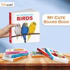 Pocket Board Book Set Of Abc, Numbers, Fruits, Vegetables, Wild Animals, Birds - Kids Educational Board Book, Preschool Learning Books, Preschool Kids Books Children | Books | Grocsy