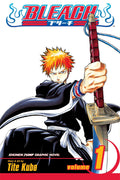 Bleach 01 | Grocsy