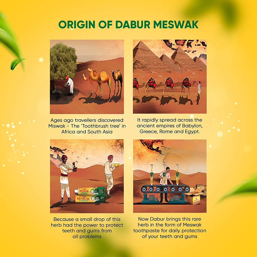 Dabur Meswak Toothpaste | Grocsy