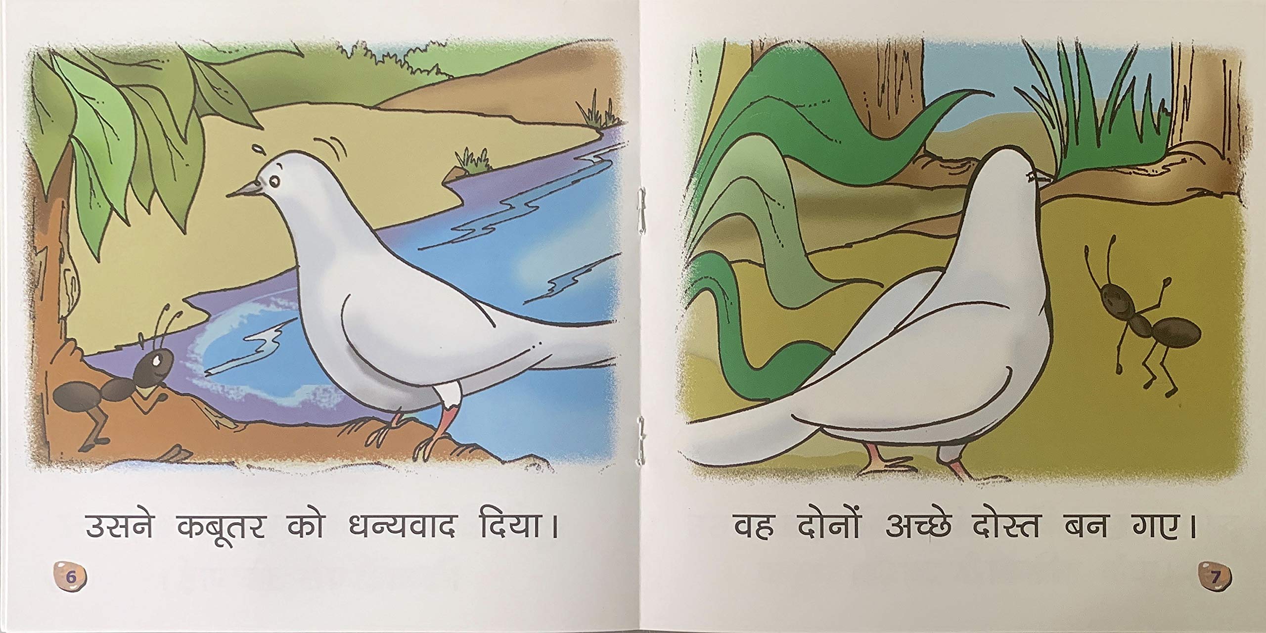 Kabootar Aur Cheenti.-1. | Grocsy