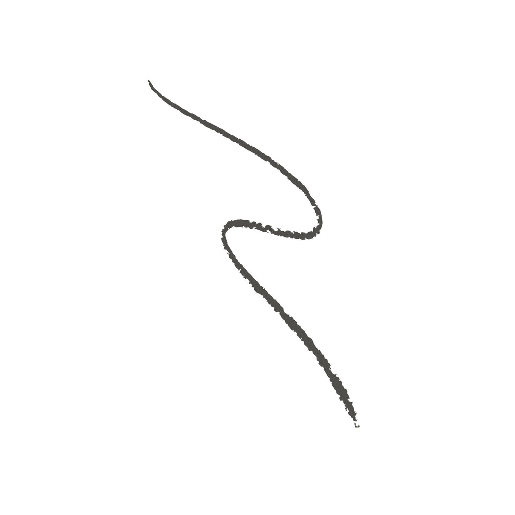 Swiss Beauty Micro Precision Eyebrow Pencil - 04 Grey Black | Grocsy