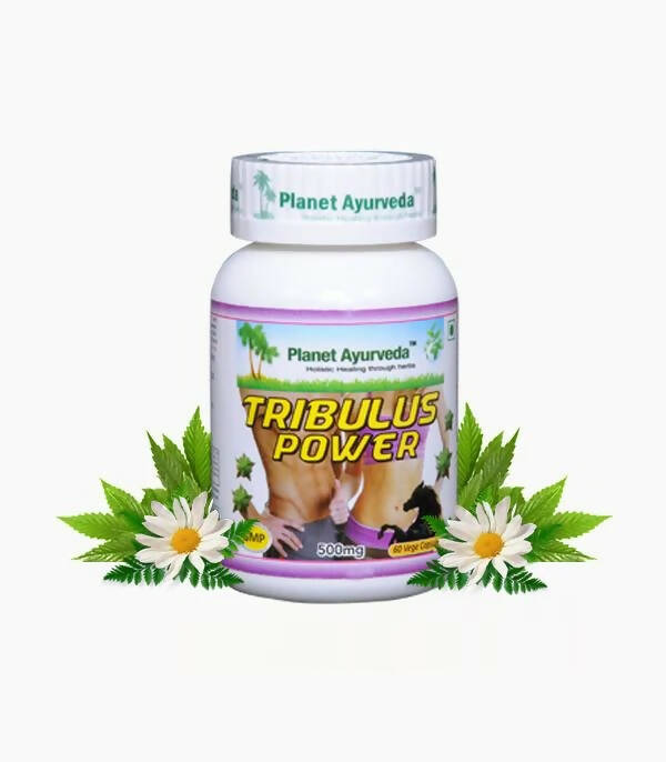 Planet Ayurveda Gokshura Power | Grocsy