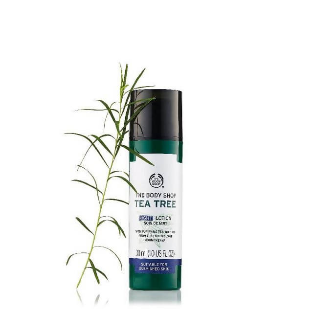 The Body Shop Tea Tree Night Lotion | Grocsy