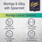 Care Moringa & Giloy Green Tea Bags with Spearmint | Grocsy