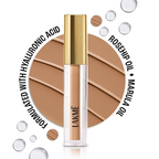 Lakme 9 To 5 Hya Matte Liquid Concealer - Cinnamon | Grocsy