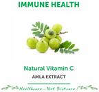 Bliss Welness Immune Health Natural Vitamin C Amla Extract Veg Tablet | Grocsy