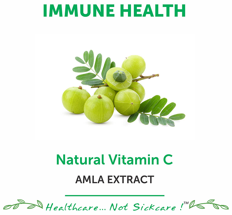 Bliss Welness Immune Health Natural Vitamin C Amla Extract Veg Tablet | Grocsy
