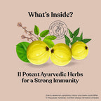 Kapiva Ayurveda Immune Care Juice | Grocsy