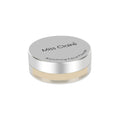 Miss Claire Blooming Face Powder - Translucent Tl4 | Grocsy