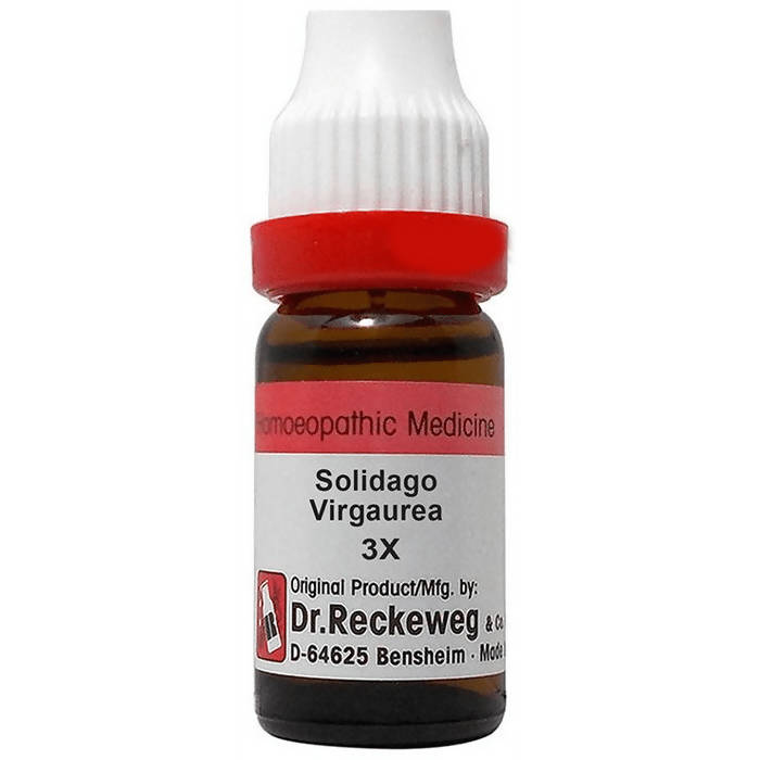 Dr. Reckeweg Solidago Virgaurea Dilution | Grocsy