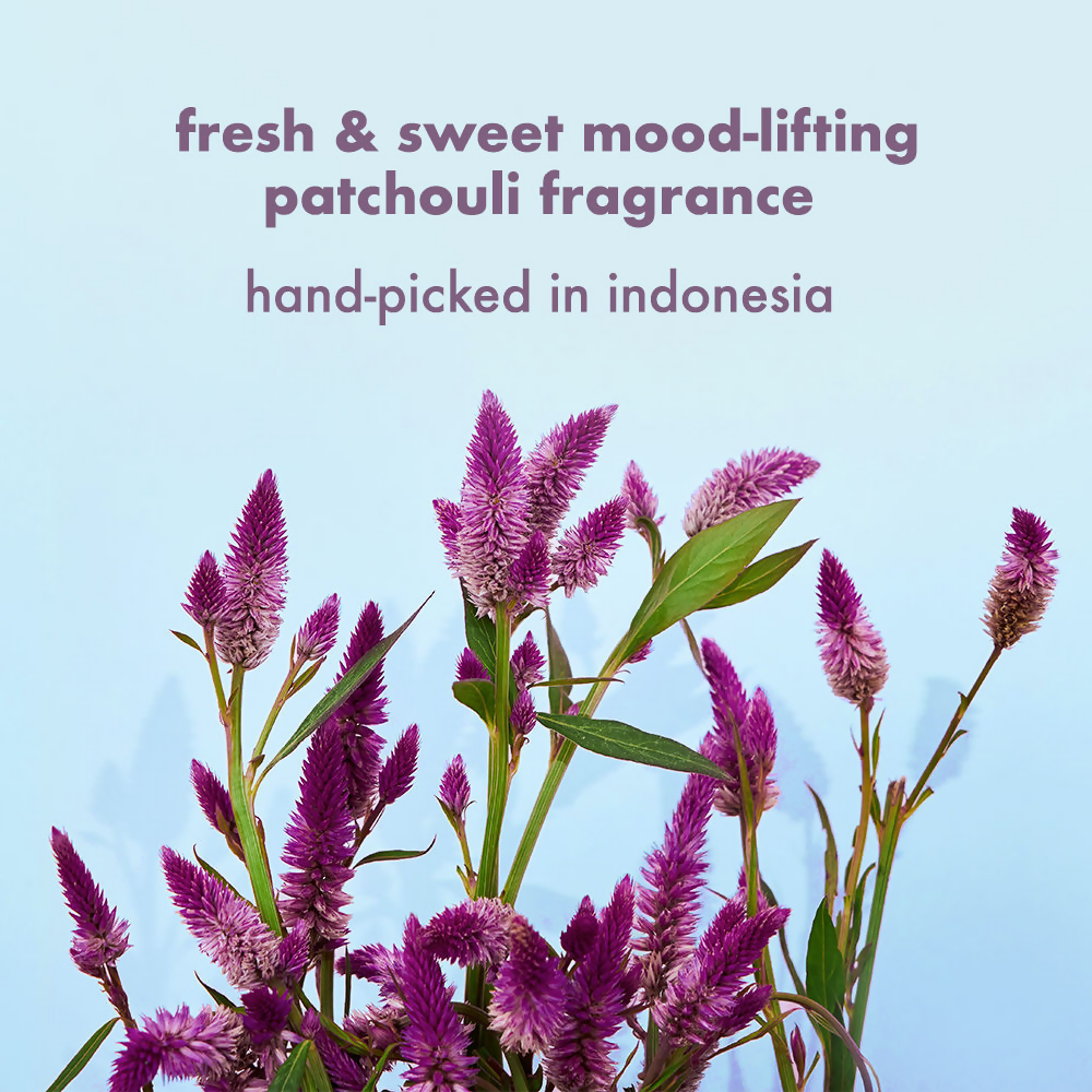 Love Beauty And Planet Onion Blackseed & Patchouli Hair Fall Control Sulfate Free Shampoo & Conditioner | Grocsy