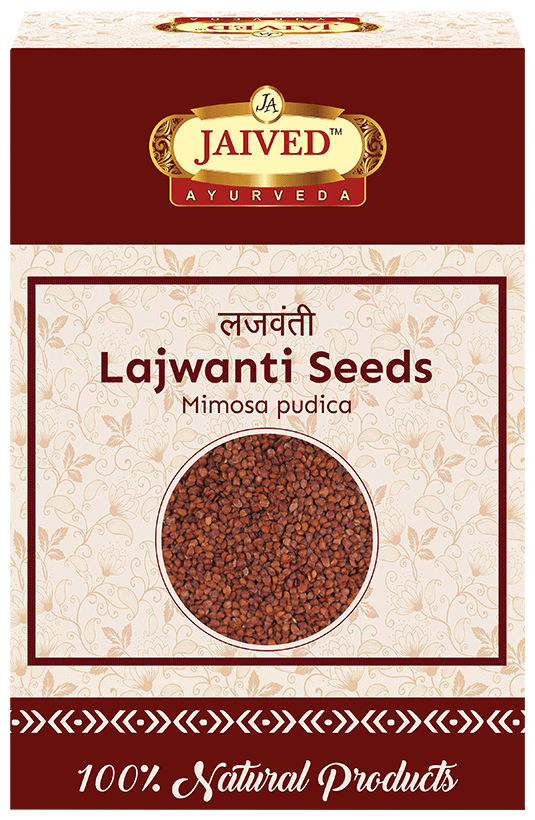 Jaived Ayurveda Sensitive Plant Lajwanti Seeds | Grocsy