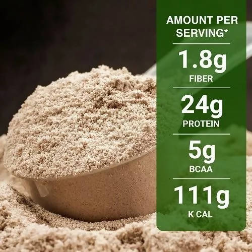 Inlife Vegan Plant Protein Powder Chocolate Flavour | Grocsy