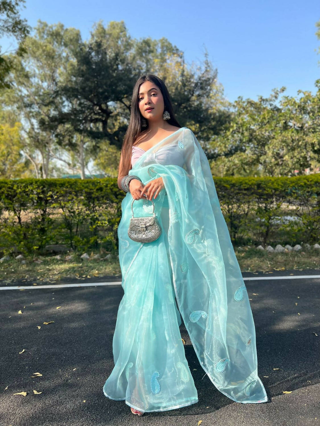 Vamsee Sky Blue Organza Saree | Grocsy