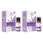 Vedsun Naturals Lavender Essential Oil | Grocsy