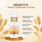 Nuerma Science Wheat Germ Body Lotion to Moisturize & Nourishes Skin | Grocsy