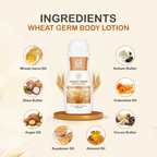Nuerma Science Wheat Germ Body Lotion to Moisturize & Nourishes Skin | Grocsy