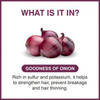 She Essentials Onion Hair Oil For Hair Fall Control | Grocsy
