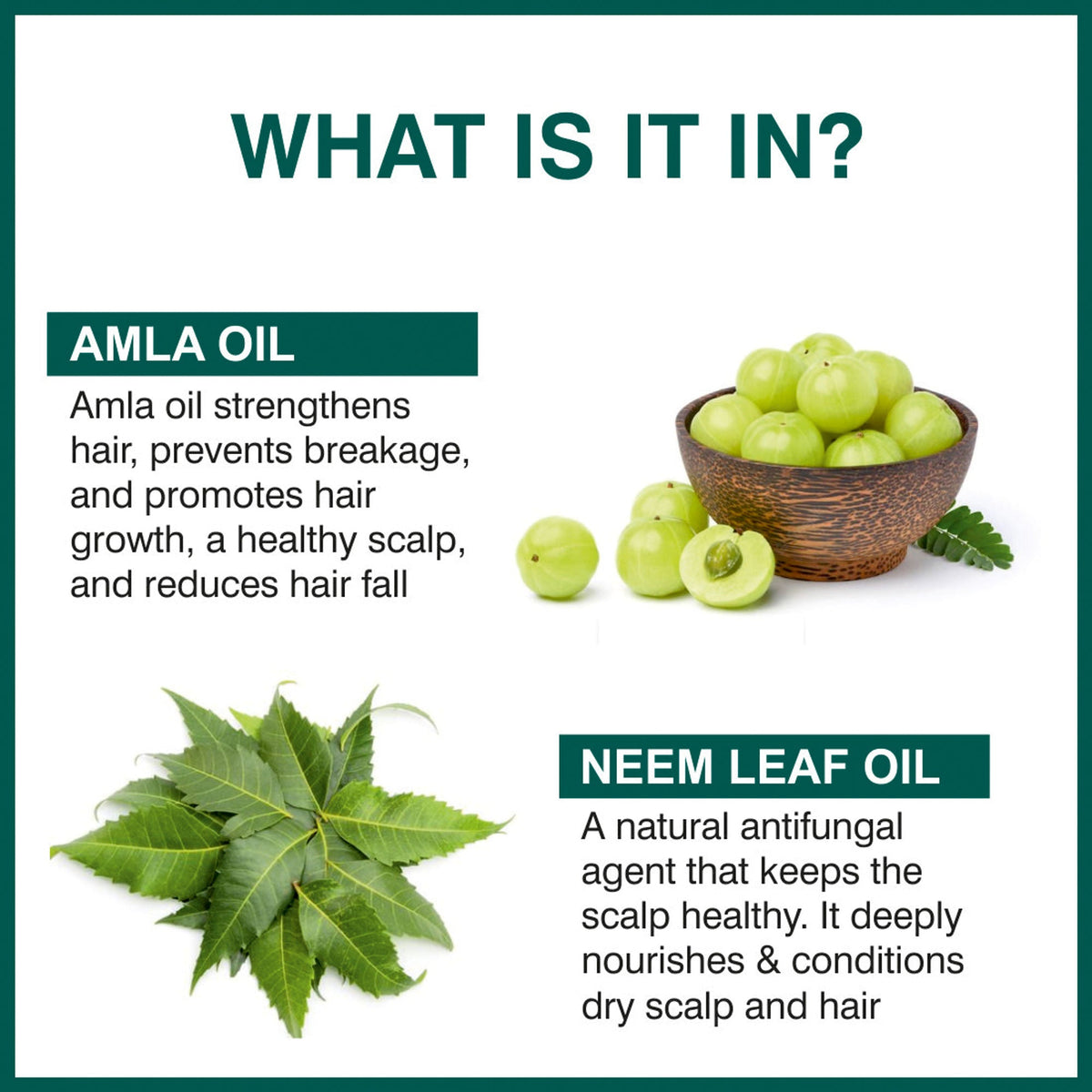 She Essentials Anti Hair Fall & Hair Growthoil For All Types Of Hair | Grocsy
