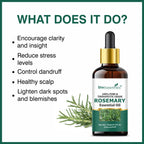 She Essentials Rosemary Essential Oil For Hair Growth & Longer Hair - 100% Pure & Natural | Grocsy