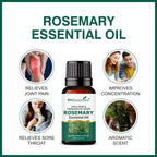 She Essentials Rosemary Essential Oil, Tea Tree & Almond Carrier Oil - Hair Growth & Acne | Grocsy