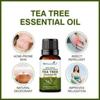 She Essentials Rosemary Essential Oil, Tea Tree & Almond Carrier Oil - Hair Growth & Acne | Grocsy