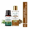 She Essentials Rosemary Essential Oil & Castor Oil Combo For Haircare & Skincare | Grocsy