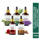 She Essentials Rosemary, Teatree, Rose, Lavender & Sandal Essentials Oil (Set Of 5) | Grocsy