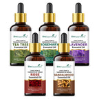 She Essentials Rosemary, Teatree, Rose, Lavender & Sandal Essentials Oil (Set Of 5) | Grocsy