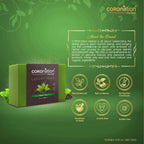 Coronation Herbal Green Tea Luxury Soap | Grocsy