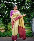 DEIANA'S Beautiful Designer Golden zari Soft Lichi Silk Saree - Pista | Grocsy