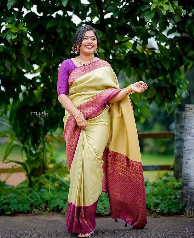 DEIANA'S Beautiful Designer Golden zari Soft Lichi Silk Saree - Pista | Grocsy