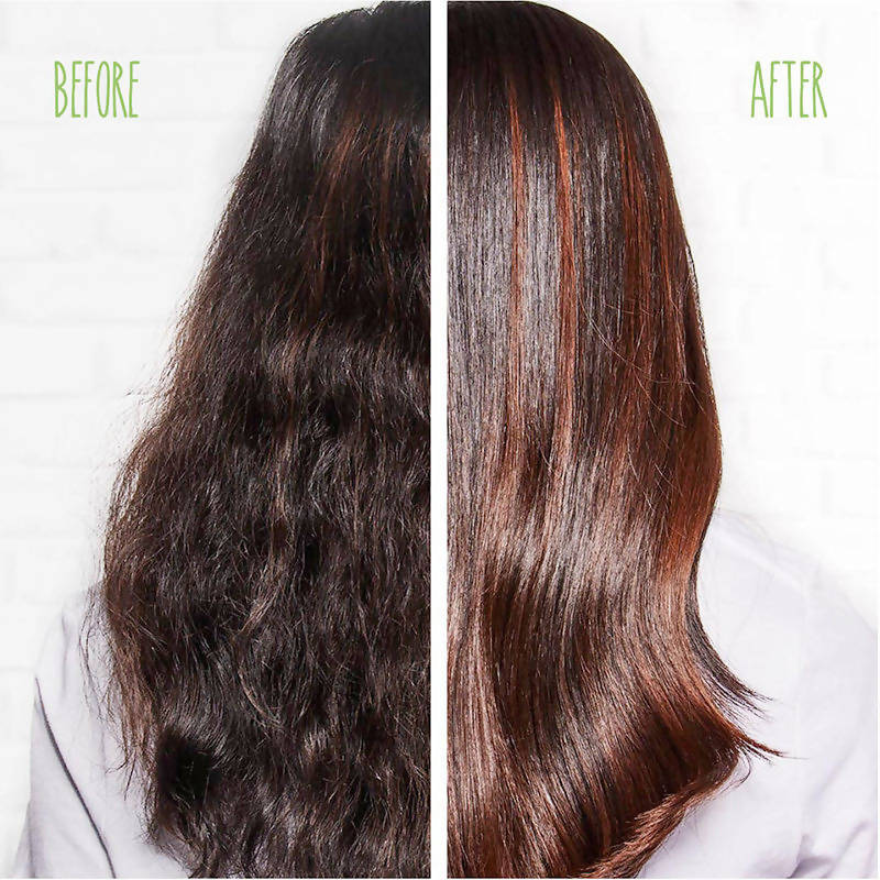 Matrix Biolage Smoothproof Camellia Shampoo | Grocsy