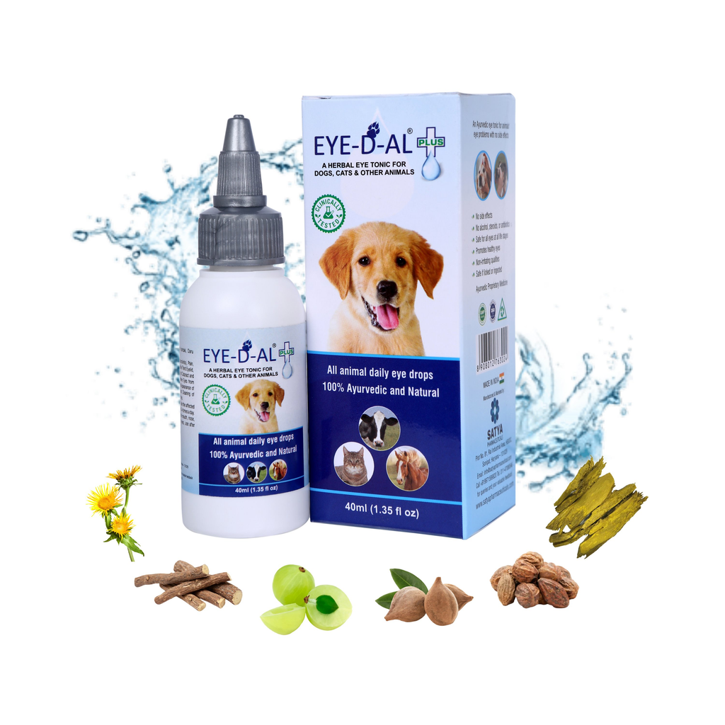 Satya Pharmaceuticals Ayurveda Eye-D-Al Plus Eye Drops | Grocsy