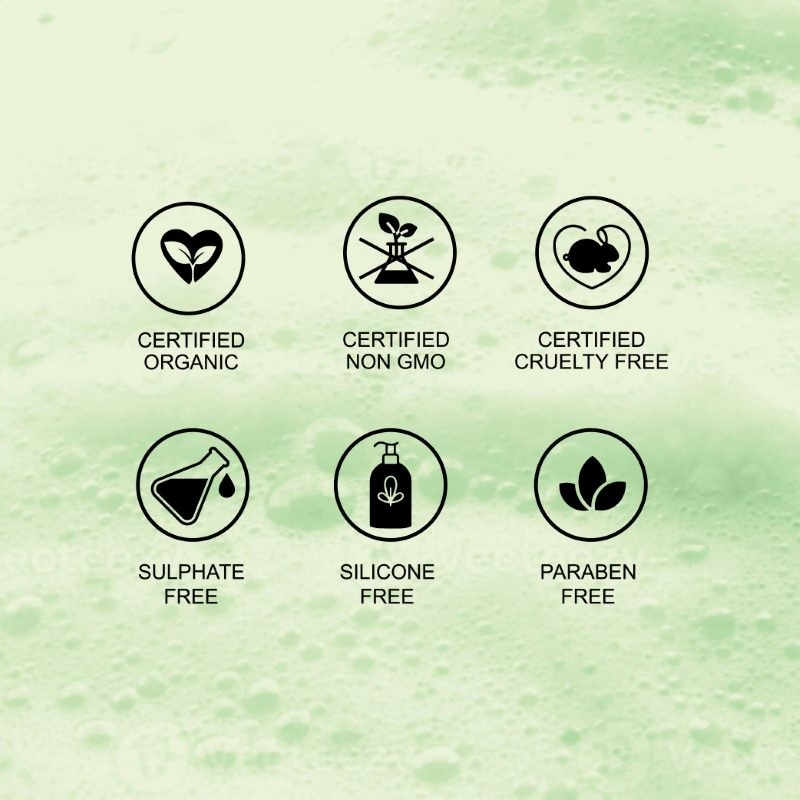 Mintree Olive Hair & Body Wash | Grocsy