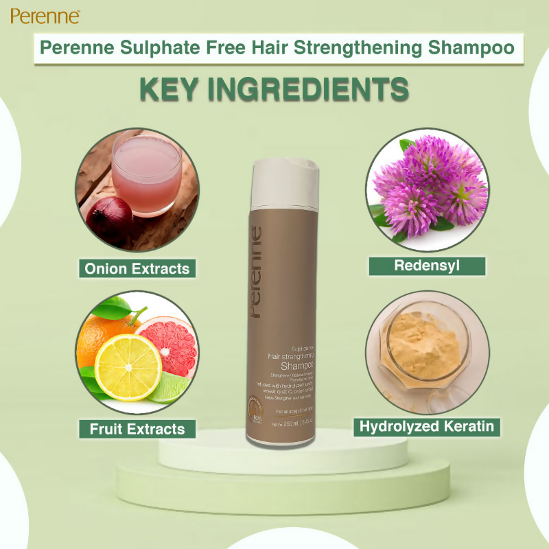 Perenne Sulphate Free Hair Strengthening Shampoo | Grocsy