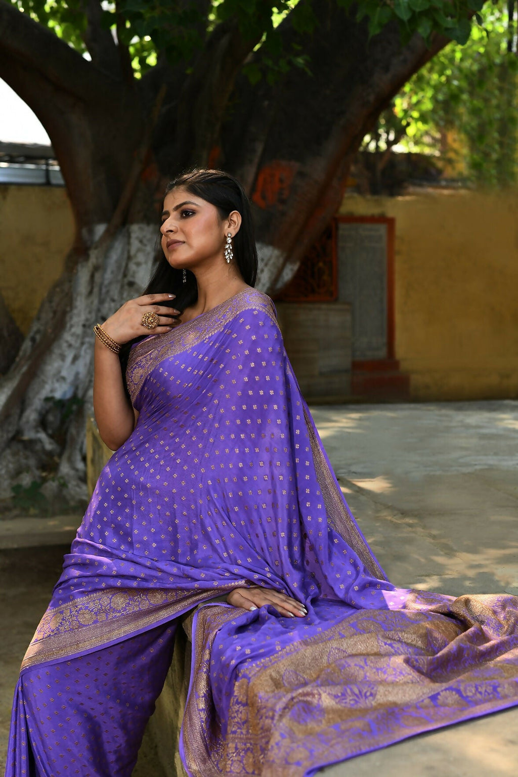 Joban Fashion Lavender Crepe Chiffon Pure Handloom Banarasi Silk Saree | Grocsy
