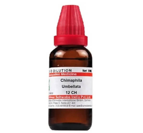 Dr. Willmar Schwabe India Chimaphila Umbellata Dilution | Grocsy
