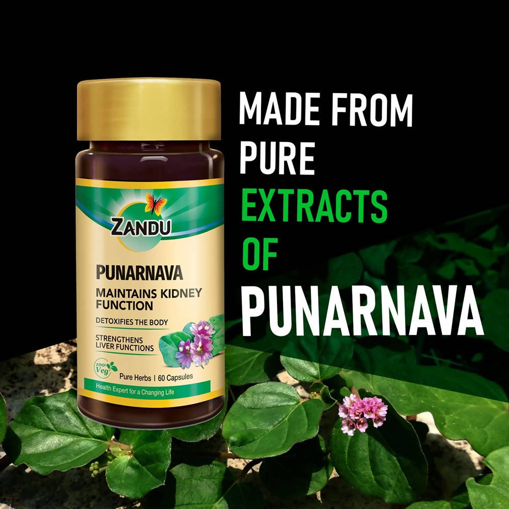 Zandu Punarnava Capsules | Grocsy