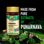Zandu Punarnava Capsules | Grocsy