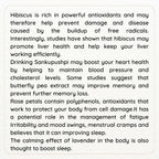 Satvi Wellness Mix Flower Drink | Mixed Flower Tea | Herbal Tea | Grocsy