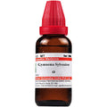 Dr. Willmar Schwabe India Gymnema Sylvestre Mother Tincture Q | Grocsy