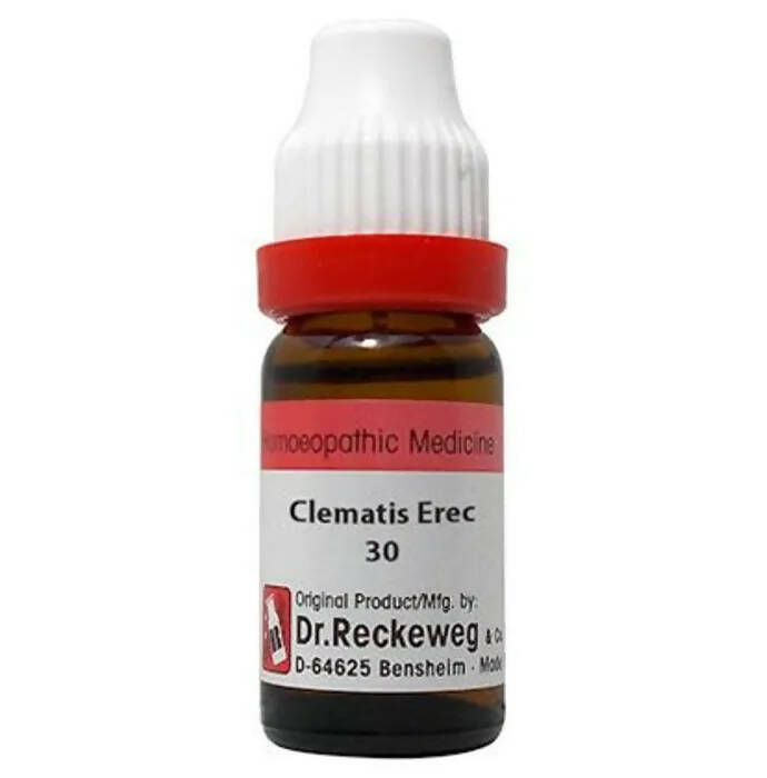 Dr. Reckeweg Clematis Erec Dilution | Grocsy